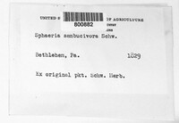 Image Associated With the Occurence